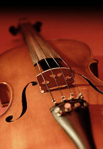 violin